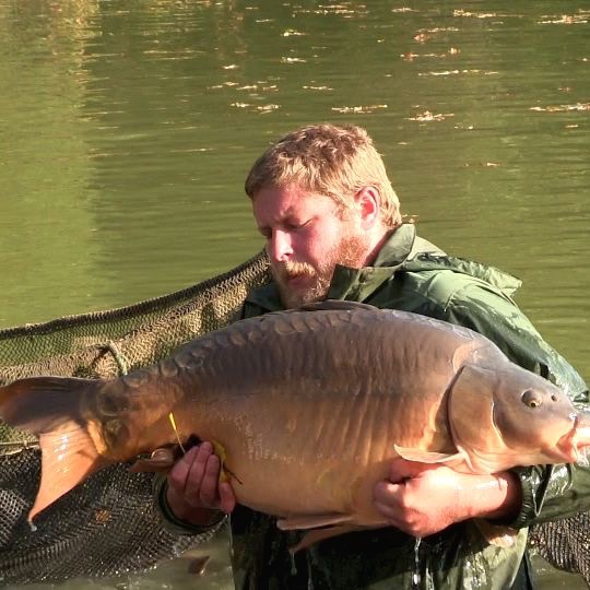 An Oakview carp being returned to the lake