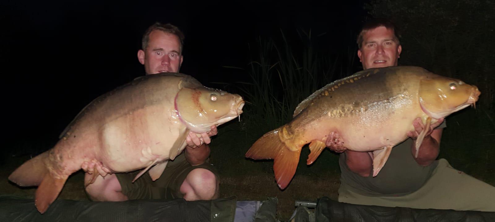 Big carp on the feed in low water levels during heatwave